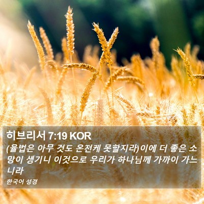 히브리서 7:19 KOR Bible Verse Image