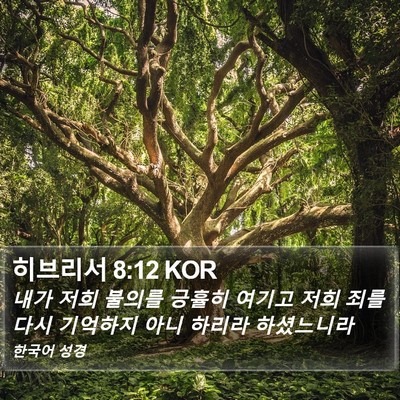 히브리서 8:12 KOR Bible Verse Image