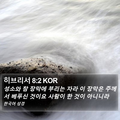 히브리서 8:2 KOR Bible Verse Image