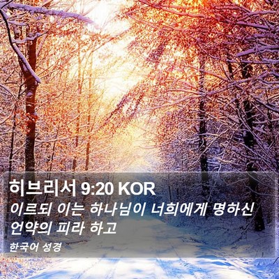 히브리서 9:20 KOR Bible Verse Image