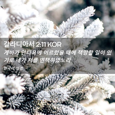 Picture 02 - 갈라디아서 2:11 KOR - 게바가 안디옥에 이르렀을 때에 - Bible Verse Picture