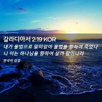 Picture 02 - 갈라디아서 2:19 KOR - 내가 율법으로 말미암아 율법을 - Bible Verse Picture