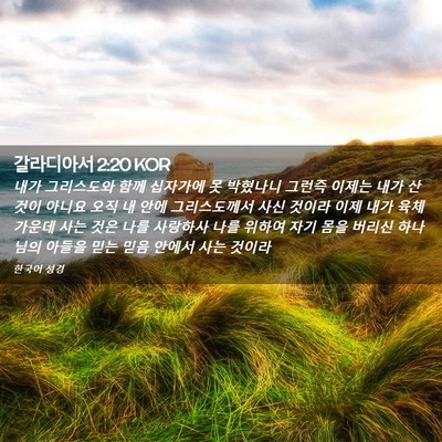 Picture 02 - 갈라디아서 2:20 KOR - 내가 그리스도와 함께 십자가에 못 - Bible Verse Picture