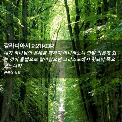 Picture 02 - 갈라디아서 2:21 KOR - 내가 하나님의 은혜를 폐하지 - Bible Verse Picture
