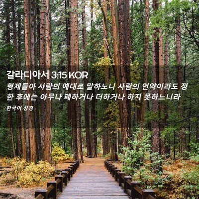 Picture 02 - 갈라디아서 3:15 KOR - 형제들아 사람의 예대로 말하노니 - Bible Verse Picture