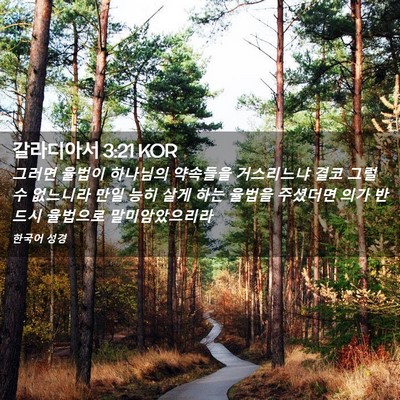 Picture 02 - 갈라디아서 3:21 KOR - 그러면 율법이 하나님의 약속들을 - Bible Verse Picture