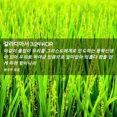 Picture 02 - 갈라디아서 3:24 KOR - 이같이 율법이 우리를 - Bible Verse Picture