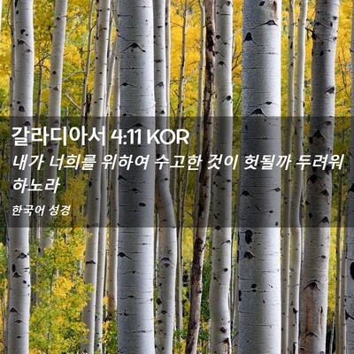 Picture 02 - 갈라디아서 4:11 KOR - 내가 너희를 위하여 수고한 것이 - Bible Verse Picture