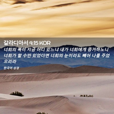 Picture 02 - 갈라디아서 4:15 KOR - 너희의 복이 지금 어디 있느냐 내가 - Bible Verse Picture