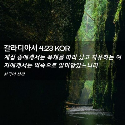 Picture 02 - 갈라디아서 4:23 KOR - 계집 종에게서는 육체를 따라 났고 - Bible Verse Picture