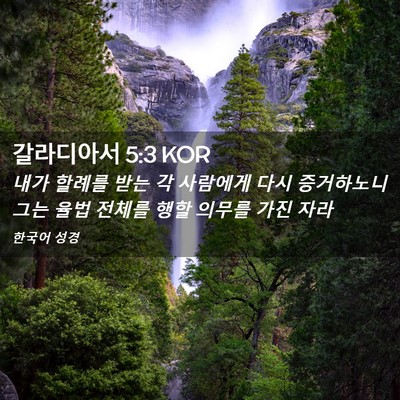 Picture 02 - 갈라디아서 5:3 KOR - 내가 할례를 받는 각 사람에게 다시 - Bible Verse Picture