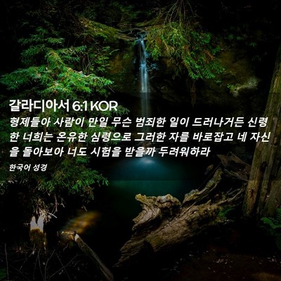 Picture 02 - 갈라디아서 6:1 KOR - 형제들아 사람이 만일 무슨 범죄한 - Bible Verse Picture