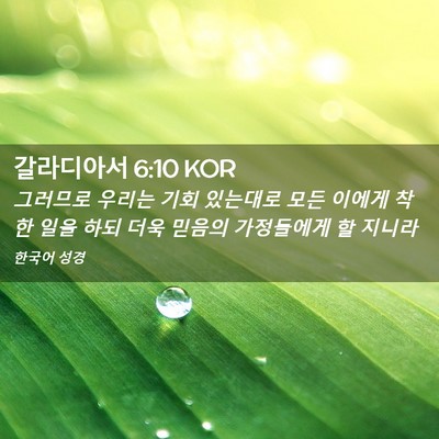 Picture 02 - 갈라디아서 6:10 KOR - 그러므로 우리는 기회 있는대로 모든 - Bible Verse Picture