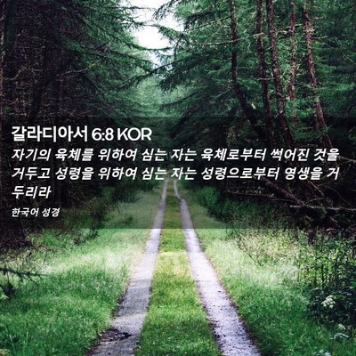 Picture 02 - 갈라디아서 6:8 KOR - 자기의 육체를 위하여 심는 자는 - Bible Verse Picture