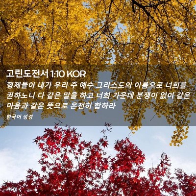 Picture 02 - 고린도전서 1:10 KOR - 형제들아 내가 우리 주 예수 - Bible Verse Picture