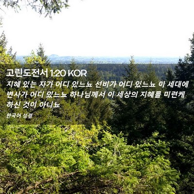 Picture 02 - 고린도전서 1:20 KOR - 지혜 있는 자가 어디 있느뇨 선비가 - Bible Verse Picture