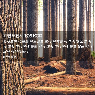 Picture 02 - 고린도전서 1:26 KOR - 형제들아 너희를 부르심을 보라 - Bible Verse Picture