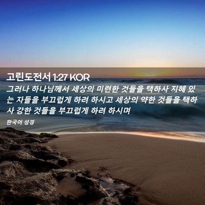 Picture 02 - 고린도전서 1:27 KOR - 그러나 하나님께서 세상의 미련한 - Bible Verse Picture