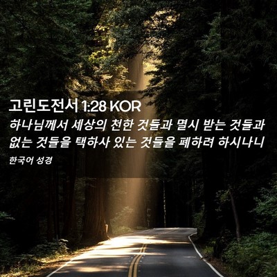 Picture 02 - 고린도전서 1:28 KOR - 하나님께서 세상의 천한 것들과 멸시 - Bible Verse Picture