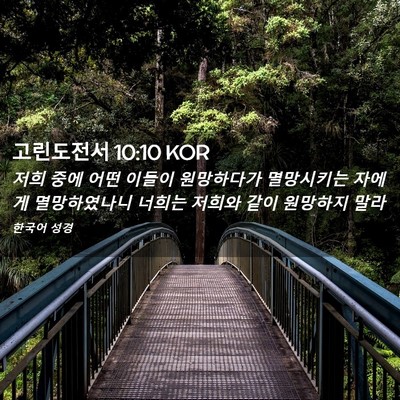 Picture 02 - 고린도전서 10:10 KOR - 저희 중에 어떤 이들이 원망하다가 - Bible Verse Picture
