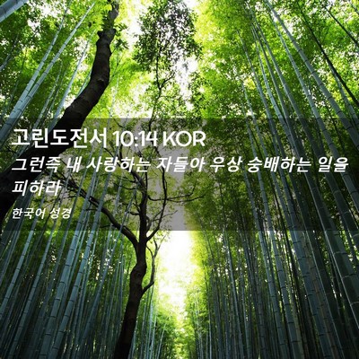 Picture 02 - 고린도전서 10:14 KOR - 그런즉 내 사랑하는 자들아 우상 - Bible Verse Picture