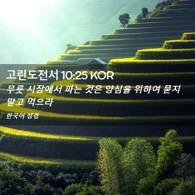 Picture 02 - 고린도전서 10:25 KOR - 무릇 시장에서 파는 것은 양심을 - Bible Verse Picture