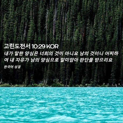 Picture 02 - 고린도전서 10:29 KOR - 내가 말한 양심은 너희의 것이 - Bible Verse Picture