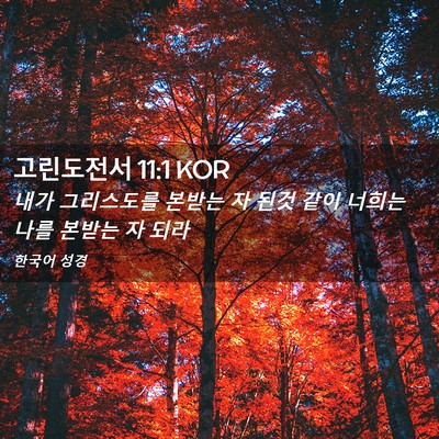 Picture 02 - 고린도전서 11:1 KOR - 내가 그리스도를 본받는 자 된것 - Bible Verse Picture