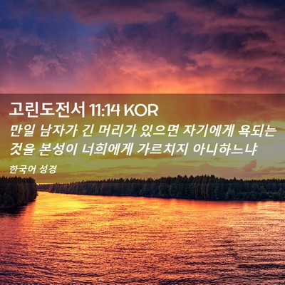 Picture 02 - 고린도전서 11:14 KOR - 만일 남자가 긴 머리가 있으면 - Bible Verse Picture