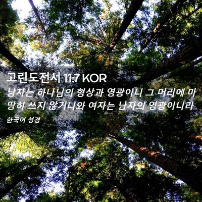 Picture 02 - 고린도전서 11:7 KOR - 남자는 하나님의 형상과 영광이니 그 - Bible Verse Picture
