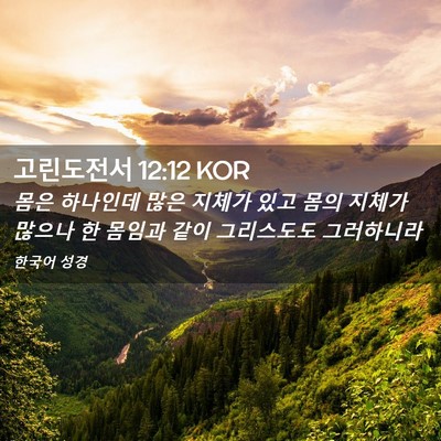 Picture 02 - 고린도전서 12:12 KOR - 몸은 하나인데 많은 지체가 있고 - Bible Verse Picture