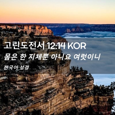 Picture 02 - 고린도전서 12:14 KOR - 몸은 한 지체뿐 아니요 - Bible Verse Picture