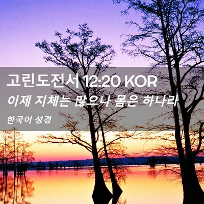 Picture 02 - 고린도전서 12:20 KOR - 이제 지체는 많으나 몸은 - Bible Verse Picture