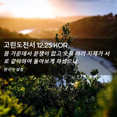 Picture 02 - 고린도전서 12:25 KOR - 몸 가운데서 분쟁이 없고 오직 여러 - Bible Verse Picture