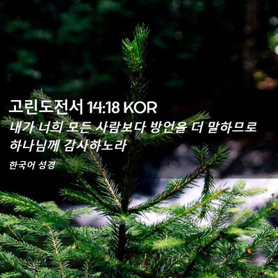 Picture 02 - 고린도전서 14:18 KOR - 내가 너희 모든 사람보다 방언을 더 - Bible Verse Picture