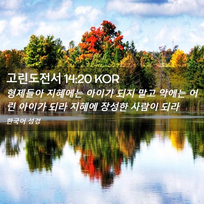 Picture 02 - 고린도전서 14:20 KOR - 형제들아 지혜에는 아이가 되지 말고 - Bible Verse Picture