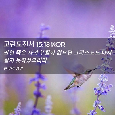 Picture 02 - 고린도전서 15:13 KOR - 만일 죽은 자의 부활이 없으면 - Bible Verse Picture