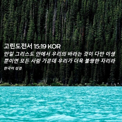 Picture 02 - 고린도전서 15:19 KOR - 만일 그리스도 안에서 우리의 바라는 - Bible Verse Picture