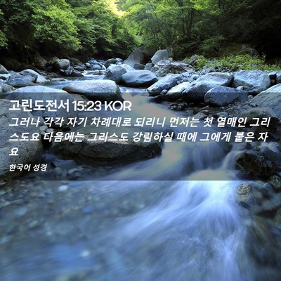 Picture 02 - 고린도전서 15:23 KOR - 그러나 각각 자기 차례대로 되리니 - Bible Verse Picture