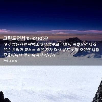 Picture 02 - 고린도전서 15:32 KOR - 내가 범인처럼 에베소에서 맹수로 - Bible Verse Picture