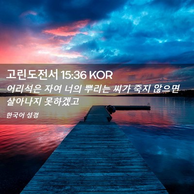 Picture 02 - 고린도전서 15:36 KOR - 어리석은 자여 너의 뿌리는 씨가 - Bible Verse Picture