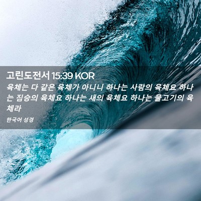 Picture 02 - 고린도전서 15:39 KOR - 육체는 다 같은 육체가 아니니 - Bible Verse Picture