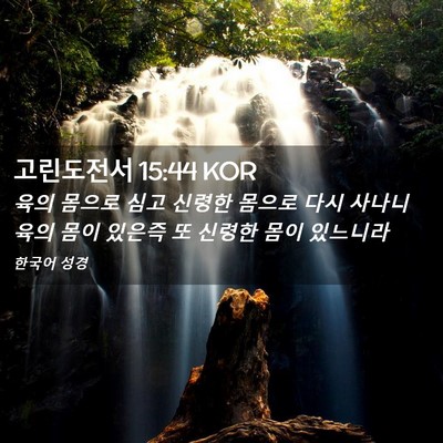 Picture 02 - 고린도전서 15:44 KOR - 육의 몸으로 심고 신령한 몸으로 - Bible Verse Picture