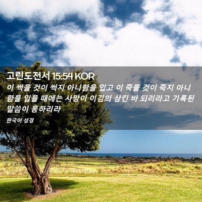 Picture 02 - 고린도전서 15:54 KOR - 이 썩을 것이 썩지 아니함을 입고 이 - Bible Verse Picture