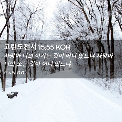 Picture 02 - 고린도전서 15:55 KOR - 사망아 너의 이기는 것이 어디 - Bible Verse Picture