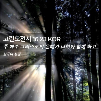 Picture 02 - 고린도전서 16:23 KOR - 주 예수 그리스도의 은혜가 너희와 - Bible Verse Picture