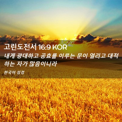 Picture 02 - 고린도전서 16:9 KOR - 내게 광대하고 공효를 이루는 문이 - Bible Verse Picture
