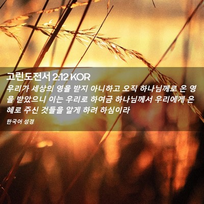 Picture 02 - 고린도전서 2:12 KOR - 우리가 세상의 영을 받지 아니하고 - Bible Verse Picture