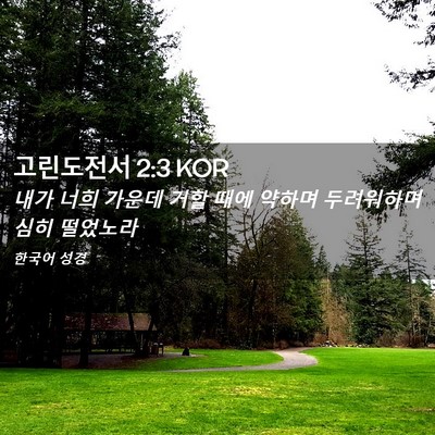 Picture 02 - 고린도전서 2:3 KOR - 내가 너희 가운데 거할 때에 약하며 - Bible Verse Picture