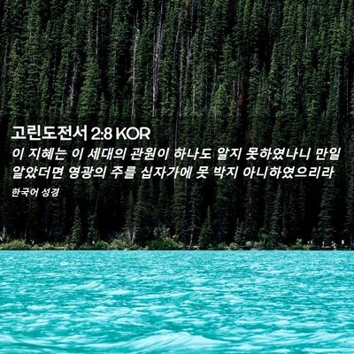 Picture 02 - 고린도전서 2:8 KOR - 이 지혜는 이 세대의 관원이 하나도 - Bible Verse Picture